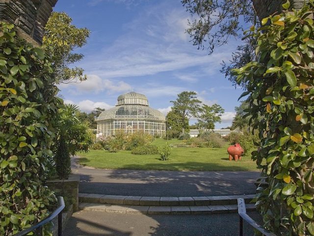 Jardim Botânico de Dublin