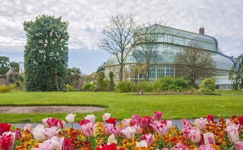 Jardim Botânico Nacional de Dublin