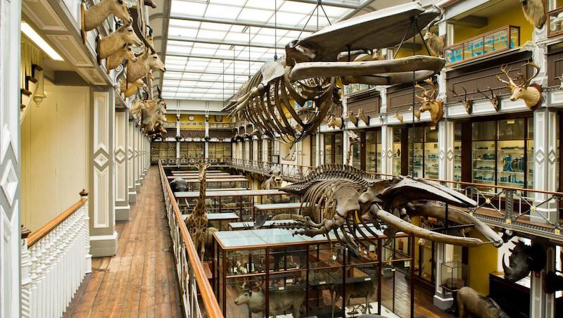 Museu de História Natural de Dublin
